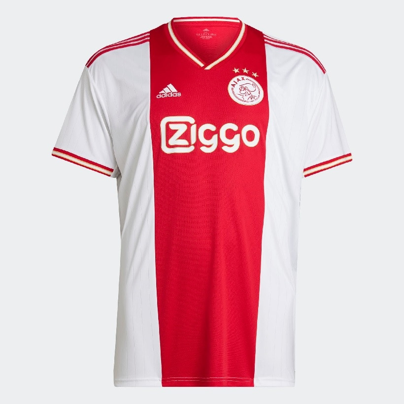 Ajax away jersey 2018/19