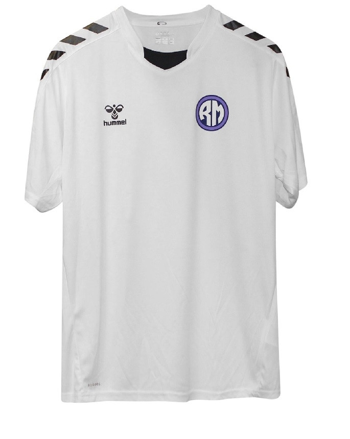 Denmark fan tee - white