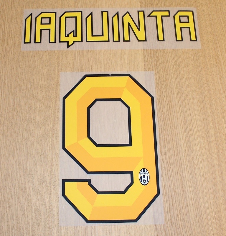 Juventus home printing 2010/11 - Iaquinta 9