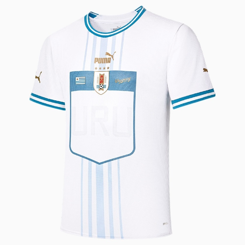 Uruguay home jersey 2018