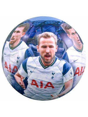 Tottenham Hotspur FC Players Photo Football