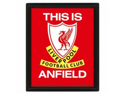 Liverpool billede - LFC Framed 3D Picture