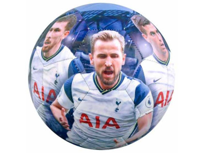 Tottenham Hotspur hold foto - THFC Players Photo Football