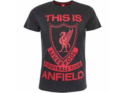 Liverpool t-shirt - LFC This Is Anfield T Shirt Mens Charcoal - Small