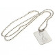 Tottenham Hotspur FC Silver Plated Dog Tag & Chain