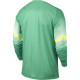 France goalie jersey long sleeve world cup 2014