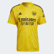 Arsenal goalie jersey - mens