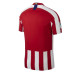 Atletico Madrid home jersey - back