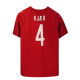 Denmark hjemme 22 - KJÆR 4 tryk