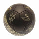 Tottenham Hotspur FC Sig Gold Phantom Skill Ball - Close-up of Signature Gold Phantom Design