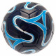Tottenham Hotspur FC Cosmos Colour Football - Close-up of Tottenham Hotspur Logo