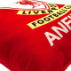 Close-up Detail: 'This Is Anfield' Logo on Cushion