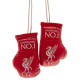 Liverpool FC Mini Boxing Gloves RD - Display