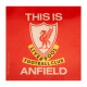 Liverpool FC Single Car Sticker TIA - Official Fan Decal