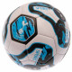 Tottenham Hotspur FC Tracer Football - Close-up of Tottenham Hotspur Logo