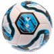 Tottenham Hotspur FC Tracer Football - Front View