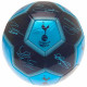 Tottenham Hotspur FC Sig 26 Football - Close-up of Tottenham Hotspur Logo