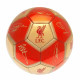 Liverpool FC Sig 26 Skill Ball - Suitable for All Surfaces