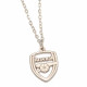 Close-up of Arsenal FC Logo on the Silver Pendant