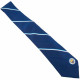 Manchester City FC Stripe Tie with Official Club Crest