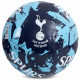 Tottenham Hotspur FC